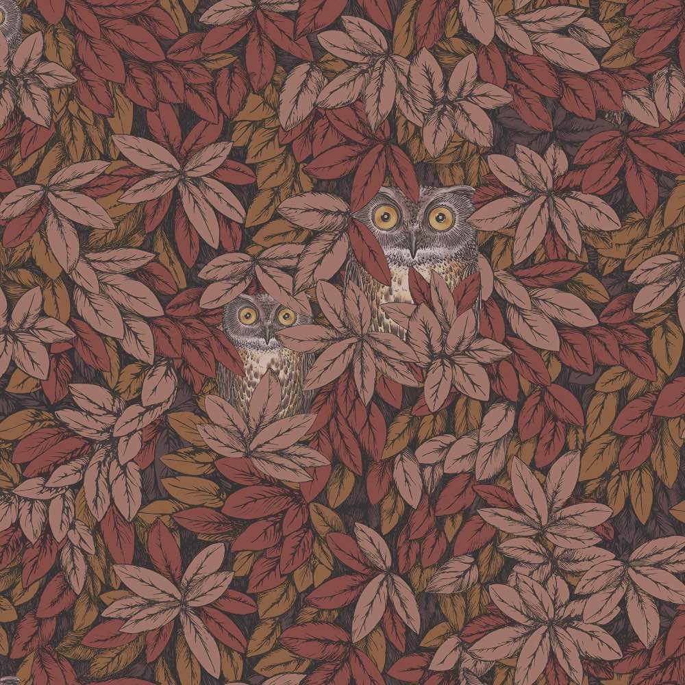 Cole & Son Foglie e Civette Wallpaper in Autumnal Leaves